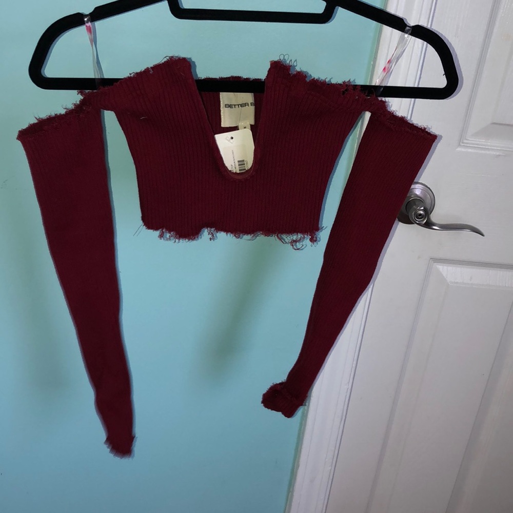 Plunge burgundy long sleeve crop top